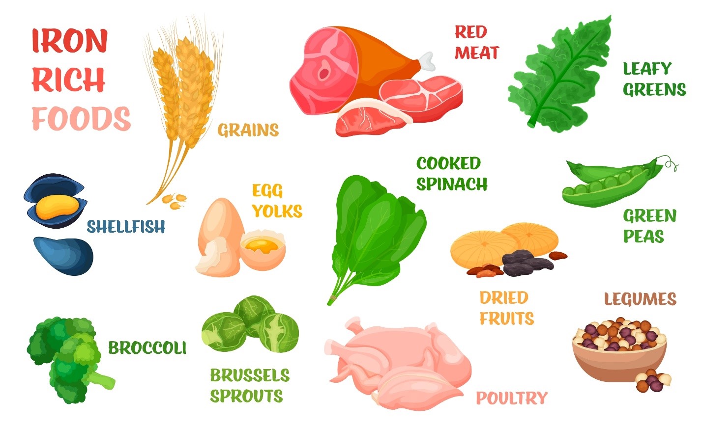 Infographic of iron-rich foods.